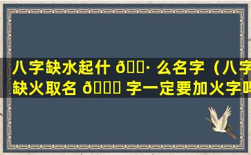 八字缺水起什 🕷 么名字（八字缺火取名 🐅 字一定要加火字吗）